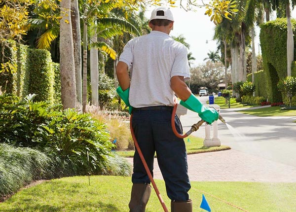 About Whiting ME Pest Control